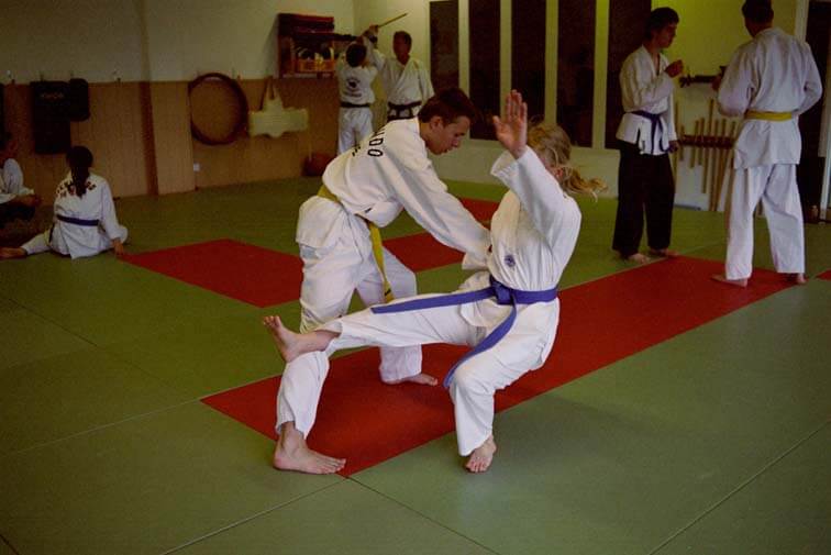 Jiu-Jitsu Lehrgang Neuruppin 2006